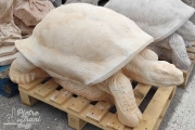 Tartaruga Gigante Giallina 219,00€